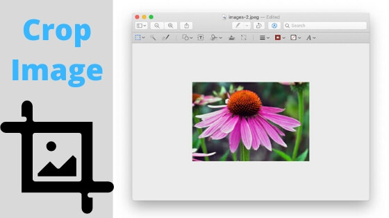 cropping tool mac for circle effect